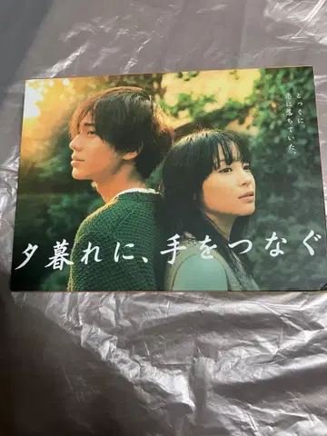 황혼에, 손을 잡다 DVD 세트 DVD 박스 6권 (특전 영상) 소책자