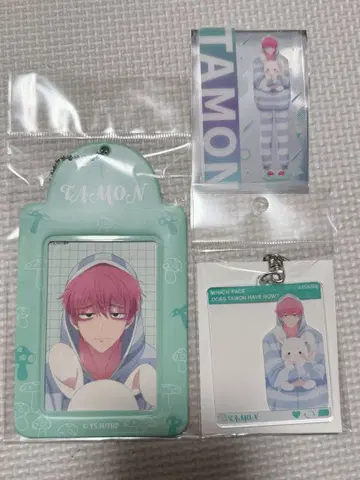 타몬 군 지금 어느 쪽 돈키호테