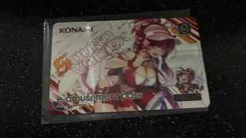 SDVX sound voltex e-amusement pass 레이시스