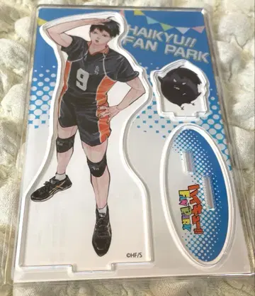 하이큐 아크릴 피규어 키 비주얼 카게야마 토비오 미개봉 새상품