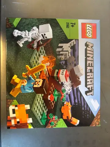 LEGO Minecraft 21162