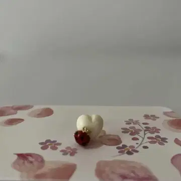 슬로우 어 KISS 하트 무당벌레 귀걸이