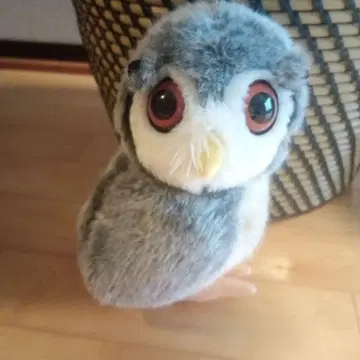 올빼미 봉제 인형 약 20cm