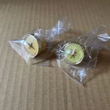 프로세카 린 렌 세카라이 5th 링 라이트