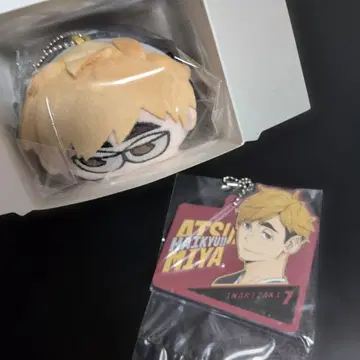 하이큐!! 미야 아츠무 지로리 타와랏코 & 러버 참