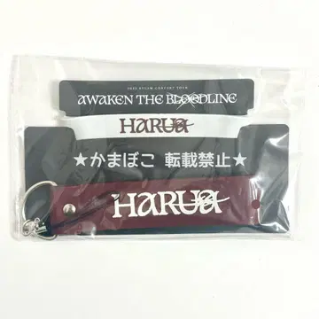 &TEAM HARUA 응원봉 데코 세트 (ATB)