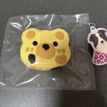 스퀴즈 돈돈 곰