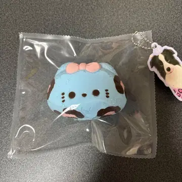 스퀴즈 돈돈 고양이