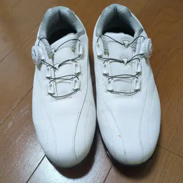 브릿지스톤 골프화 26cm