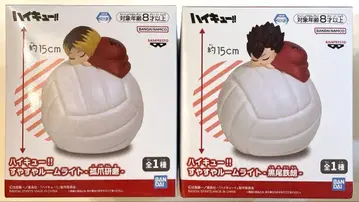 하이큐 스야스야 룸 라이트