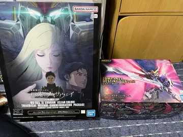 HG 쿠시 건담(클리어 컬러), MGSD 데스티니 건담 세트