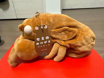 매미 허물 필통 매미 허물 선스타