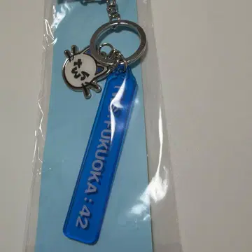 [ 미개봉 새상품 ] TWS JAPAN TOUR FUKUOKA 로컬 키링