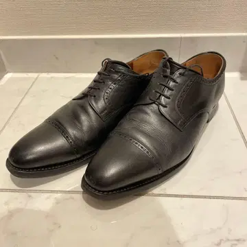 스코치 그레인 샤인 오어 레인 2773