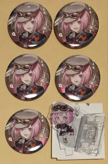 프로젝트 세카이 프로세카 5th 아크릴 스탠드 배지 호우 에무