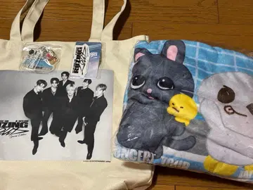 RIIZE 도쿄돔 업그레이드 혜택 아푸그레 혜택 프리미엄 시트