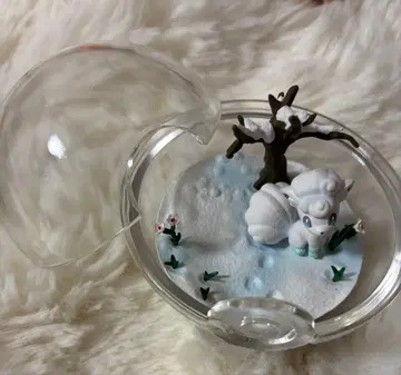 알로라 식스테일 포켓몬스터 썬&문 테라리움 컬렉션 EX