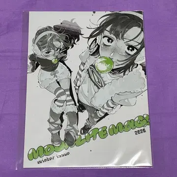 신경 쓰이는 사람이 남자가 아니었다 4 소책자 게이머즈 특전