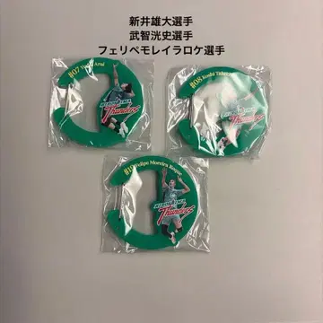 히로시마 썬더스 카라비너 FC 한정판 가챠 아라이 타케토치 로케