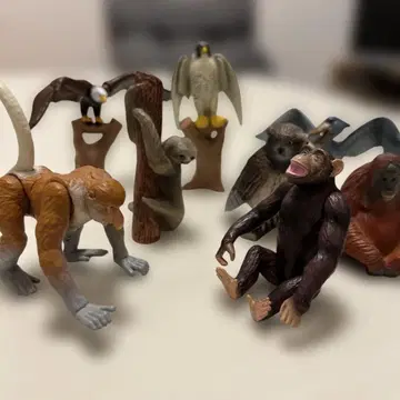 아니아 등 피규어 8체 세트