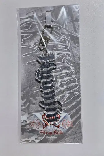 StrayKids 스키즈 VR 회장 한정판 키링 현진