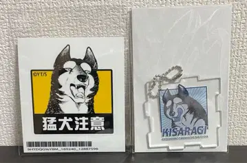 은아 별똥별 은 카와셀 복권 스티커 아크릴 키링 키사라기