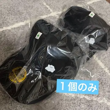 포코아 포켓몬 캡 에디온 특전