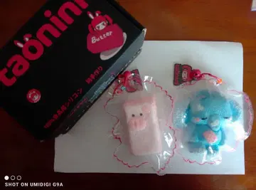 taonini 부타조 스퀴즈