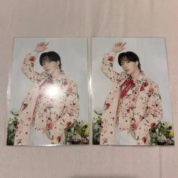 SHOW-WA 시오타 마사키 브로마이드 2장 세트 6월의 신부