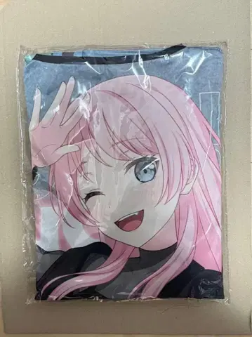 뱅드림 10주년 Mygo 치하야 아논 하피