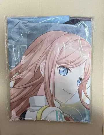 뱅드림 10주년 Mygo 나가사키 소요 하피