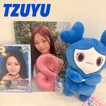 TWICE GIGO 허그 인형 덤 포함