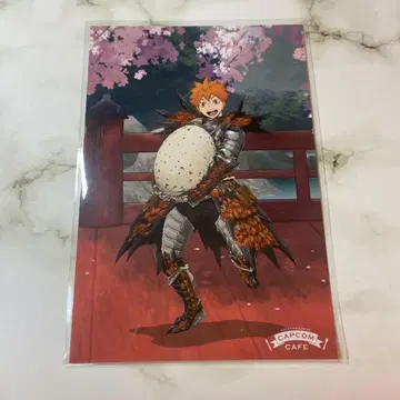 하이큐 히나타 쇼요 몬스터 헌터 혜택 캡콤 카페 몬헌