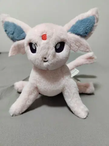 포켓몬 봉제 인형 쿠타쿠타타타 에브이