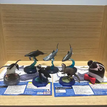 네이처 테크니컬러 400 상어 기타 4체 묶음 판매