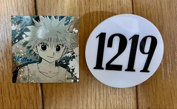 헌터헌터 토가시 요시히로전 키루아 헌터 시험 번호판 1219