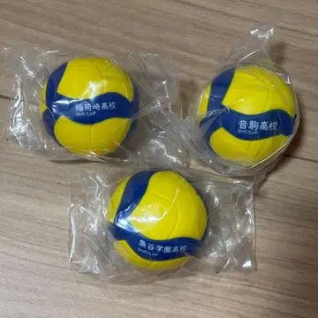 하이큐 스퀴즈 이나리자키 후쿠로다니 학원 네코마