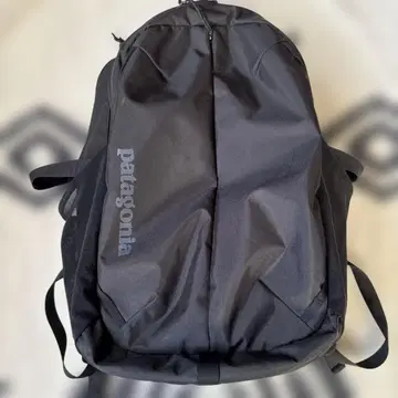 파타고니아 patagonia 백팩 디팩