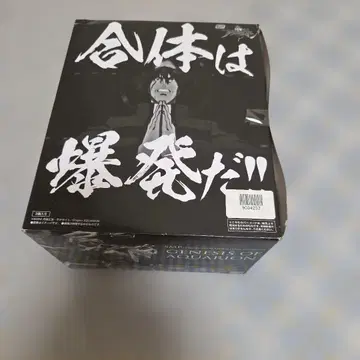 창성의 아쿠에리온 피규어 미개봉