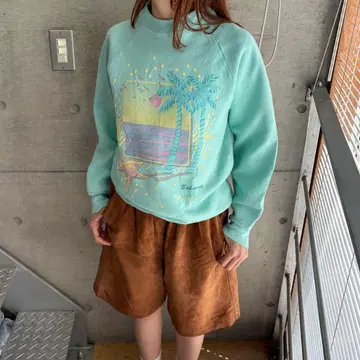 80s 빈티지 프룻 오브 더 룸 맨투맨 USA제