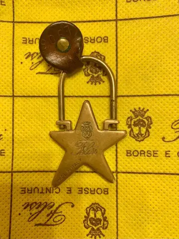 Felisi 페리지 별 모양 키링 스트랩 참