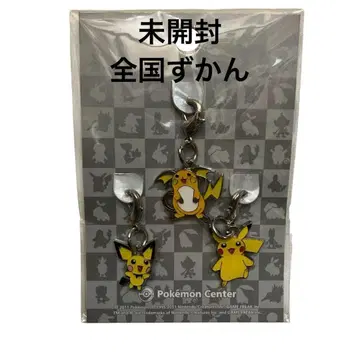 포켓몬 피츄 피카츄 라이츄 메탈참 전국도감