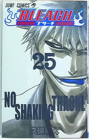 슈에이샤 점프 코믹스 쿠보 타이토 BLEACH-블리치- 25