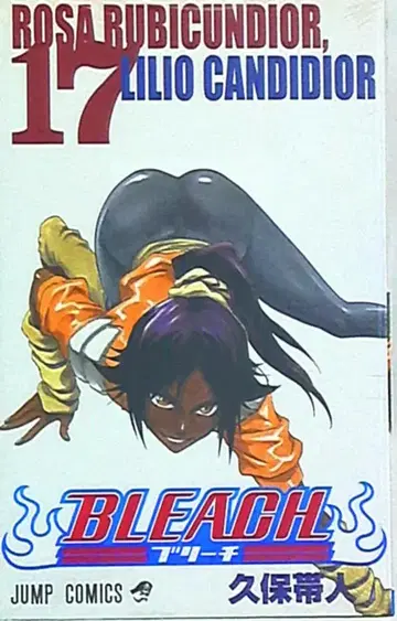 슈에이샤 점프 코믹스 쿠보 타이토 BLEACH-블리치- 17
