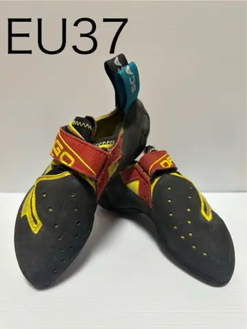 스컬파 드라코 EU37