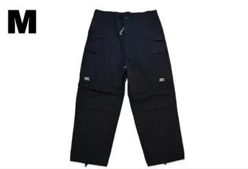 SAPEur M-65 카고 팬츠 '블랙'
