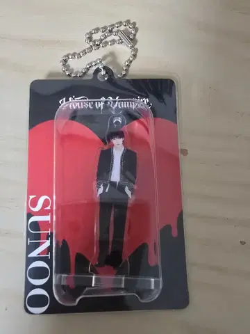 ENHYPEN 선우 House of Vampire