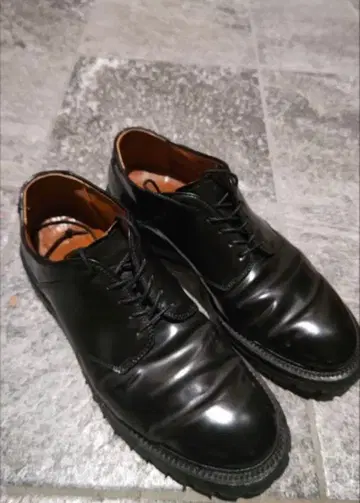 알든 코도반 포스트맨