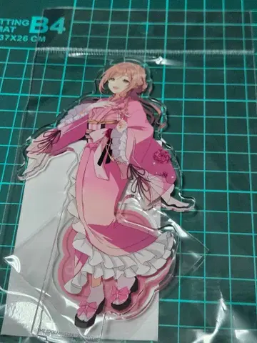 히메사키 리나미