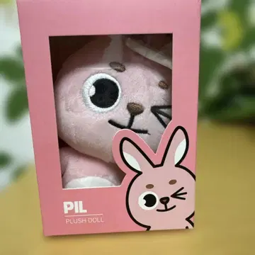 DAY6 데니멀즈 PIL 2019 원필